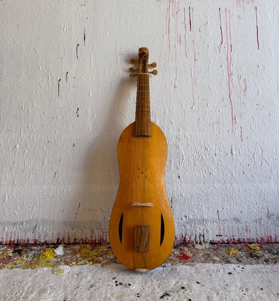 Vyola leonensis (2024)​